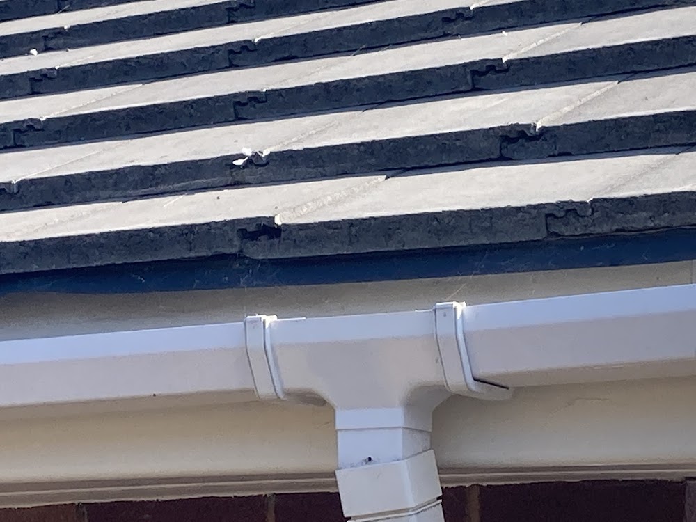 B Dry Roofing Ltd